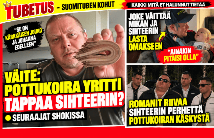 Pottukoira vs Sihteeri